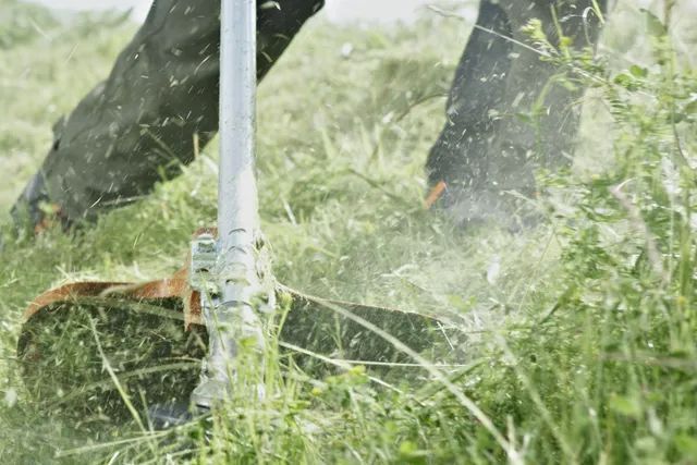 Kosa Wykaszarka Spalinowa Husqvarna 525Rx