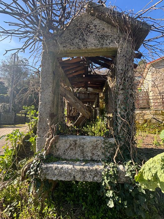 Caniço para Venda em soajo