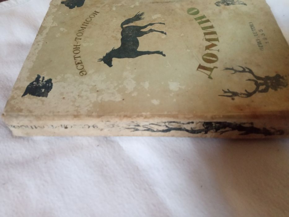 Сетон Томпсон Домино