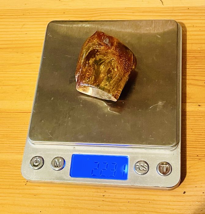 Naturalna inkluzja w bryłce bursztynu, duża