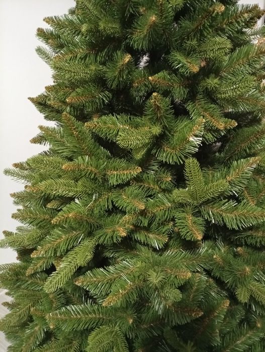 Świerk alpejski 220 cm
