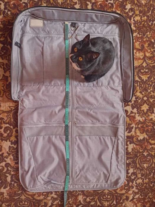 Кофр дорожный сумка чехол для одежды портплед для одежды 50 на 65 см