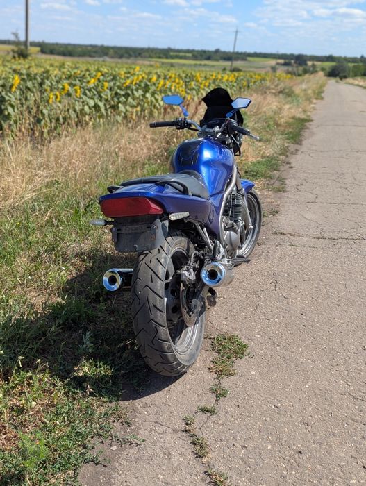 Yamaha xj600s Divershen