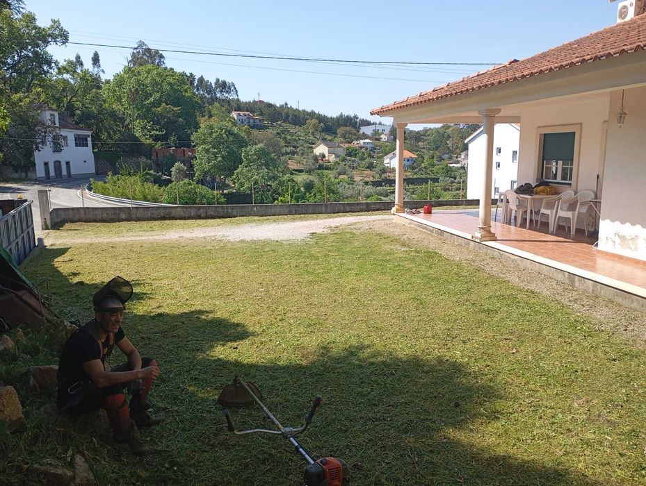 Limpeza de terrenos agrícolas