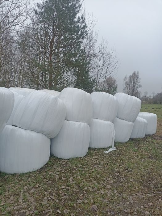 Sianokiszonka w belach