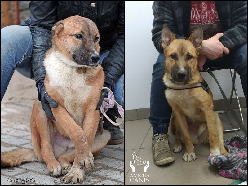 Milan - przeszedł piekło, teraz czas na spokój i miłość