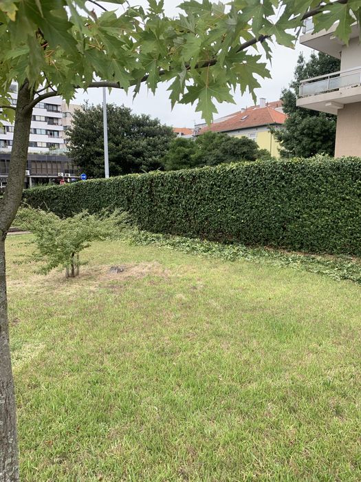 Jardins manutencao e limpeza