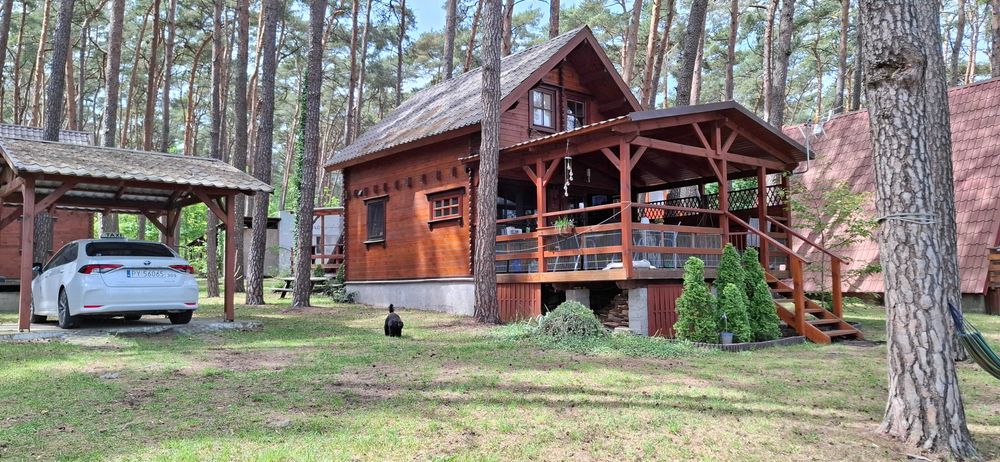 Domek letniskowy z panoramicznym widokiem na jezioro.