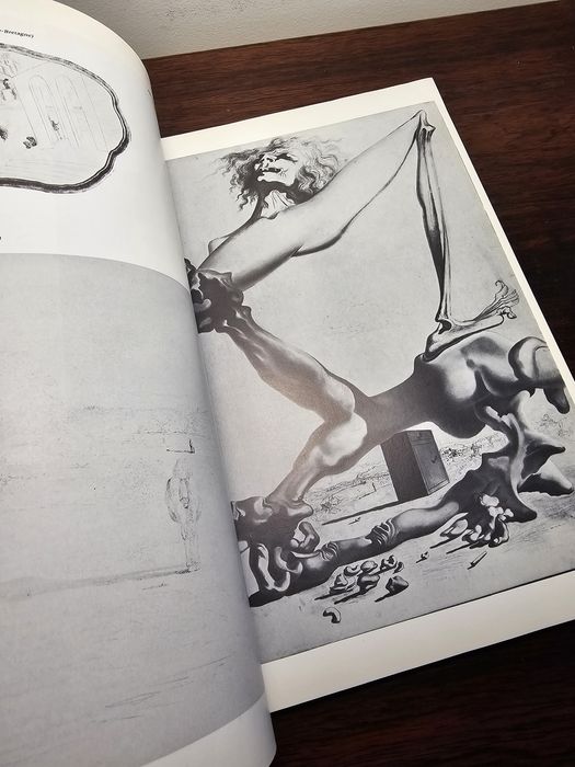 Livro arte Salvador Dali