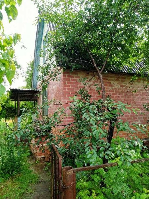 Дача в межах міста!