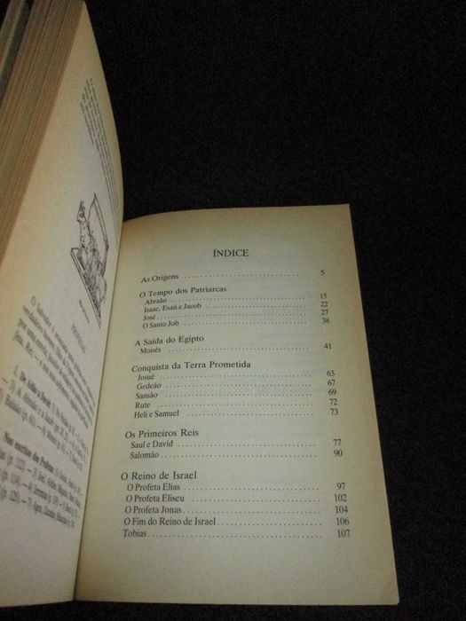 Livro Narrativas da Bíblia Antigo Testamento Verbo