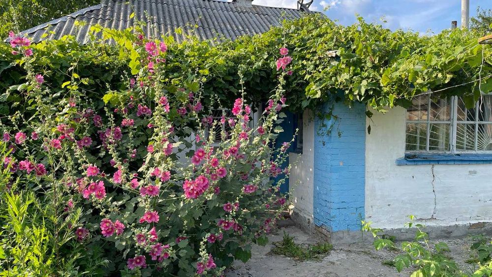 Будинок в Нових Петрівцях з видом на море з ділянкою 17 соток