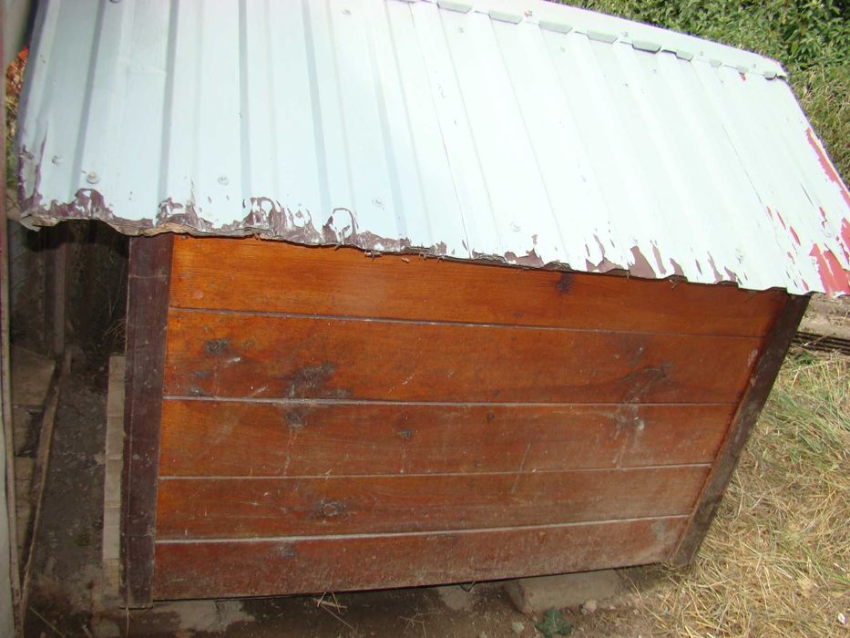 Buda dla psa używana