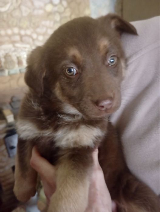 Хочу в люблячу родину!