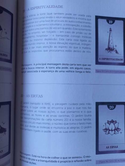 O Meu Primeiro Tarot; Um guia de fácil leitura e interpretação - Patrícia Bernardo