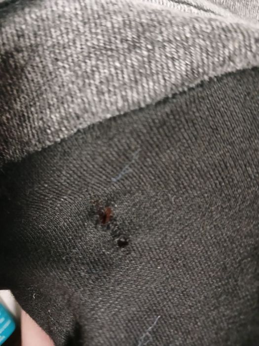 Штани джинси  для вагітних 31 розмір