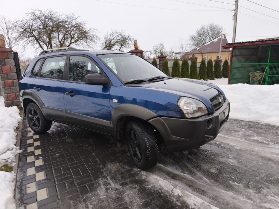 Свіжопригнаний з Голандії