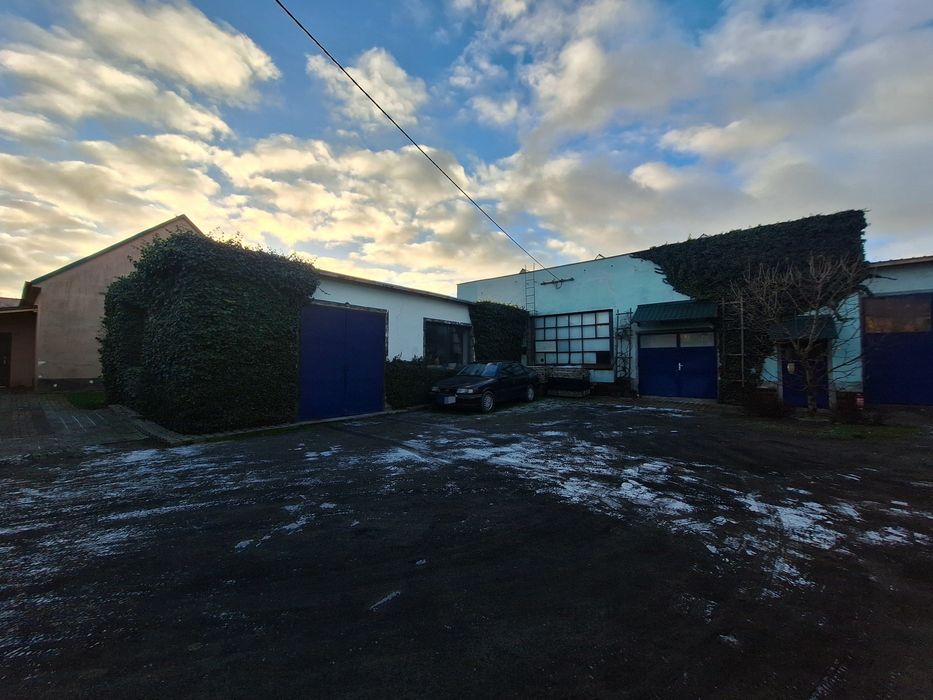 2 Hale do wynajęcia OŁAWA woj Dolnośląskie