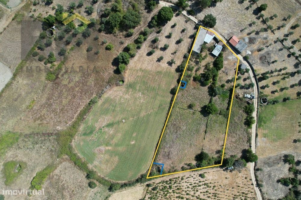 Terreno Rústico  Venda em Freixial e Juncal do Campo,Castelo Branco