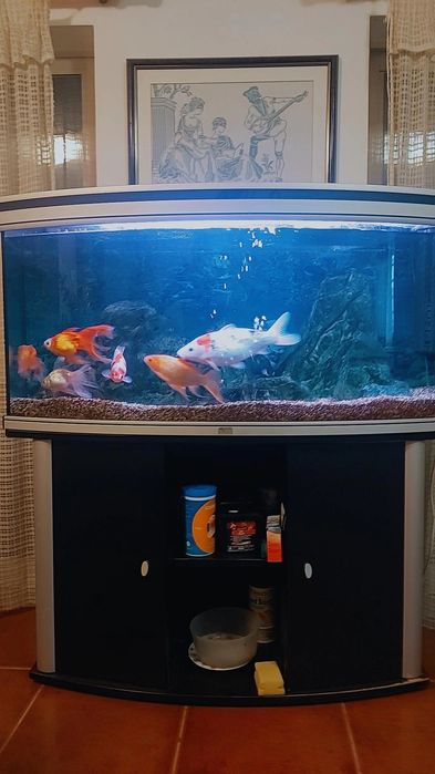 Aquário completo