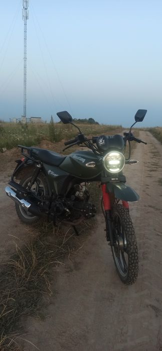 Мустанг дінго 125xl