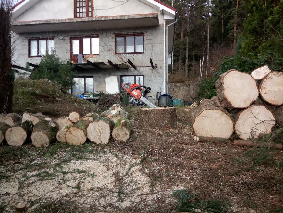 Wycinka drzew również z podnośnika koszowego