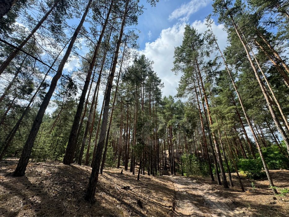 Продам НАЙКРАЩІ ділянки в МАЛЬОВНИЧОМУ місці, 27соток ,с.Проців, ЛІС