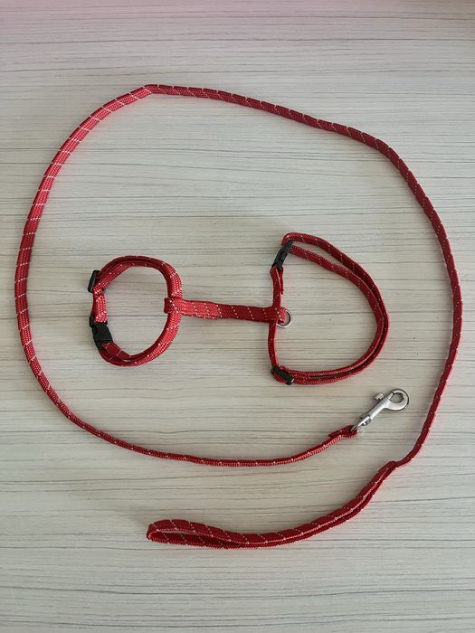 Szelki i smycz dla kota, królika, małego psa czerwone, odblaskowe