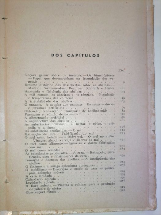 As Abelhas de Eduardo Sequeira