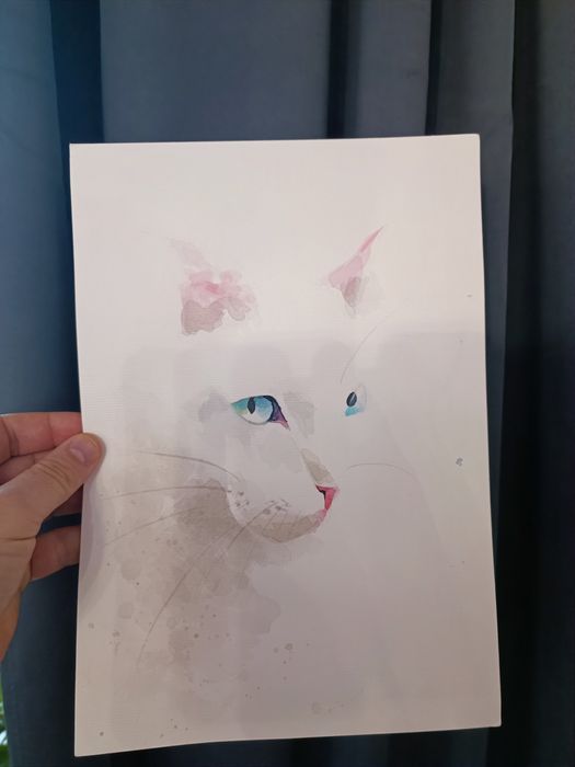 Малюнок, рисунок Кота