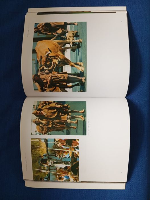 Livro " os templários"