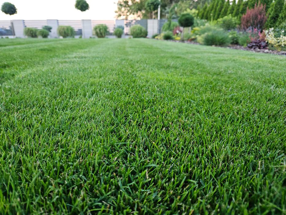 Zakładanie ogrodów, trawniki, systemy nawadniania, sadzenie