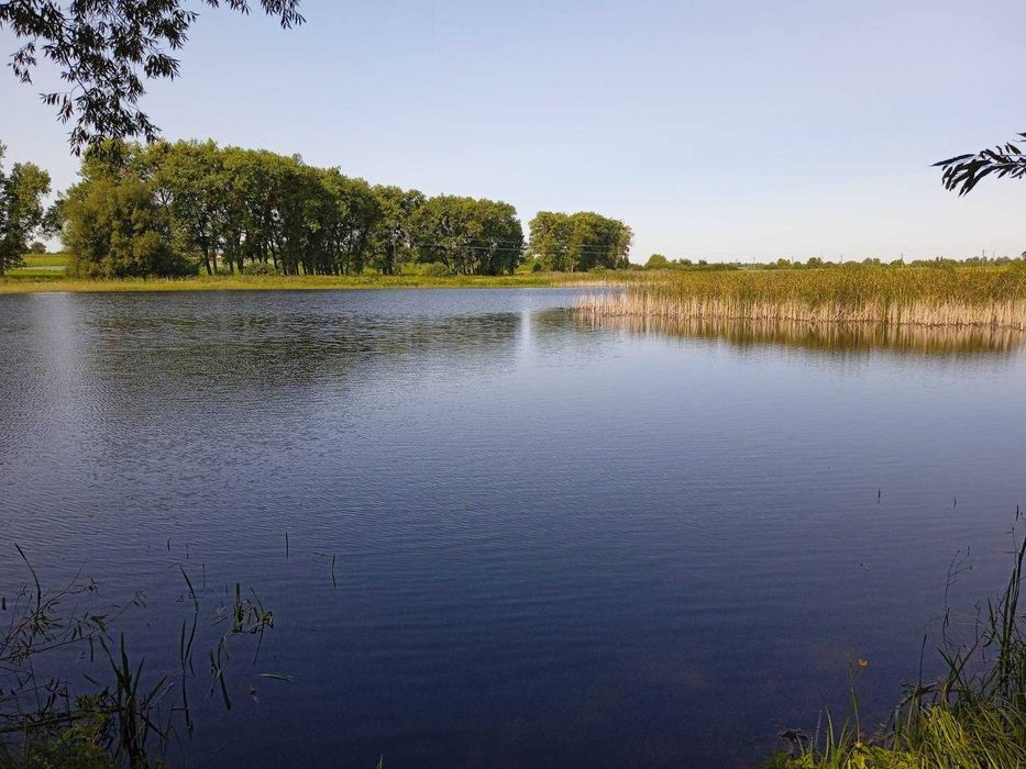 Терміново продам  ділянку під забудову у Сінгурах