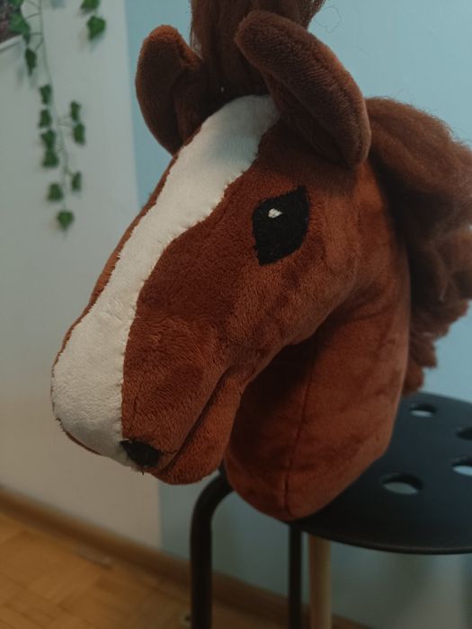 Hobby horse rudy