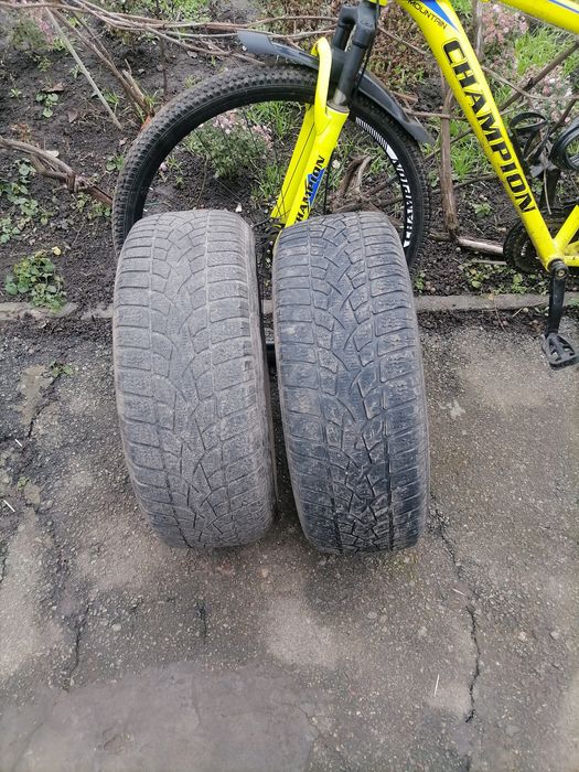 Резина р16 205 60 зима