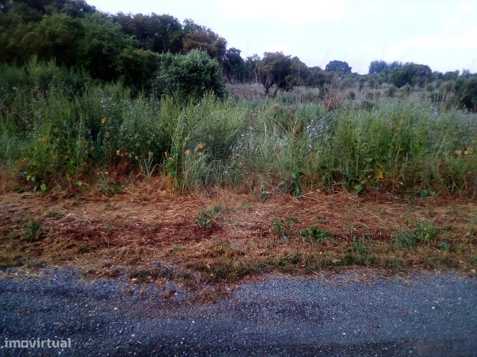 Terreno  para venda
