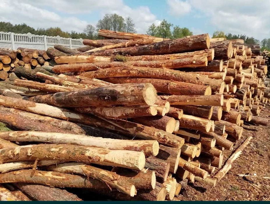 Zrzyny Tartaczne Grube lub Rozpalkowe//Wałki sosnowe//swierkowe