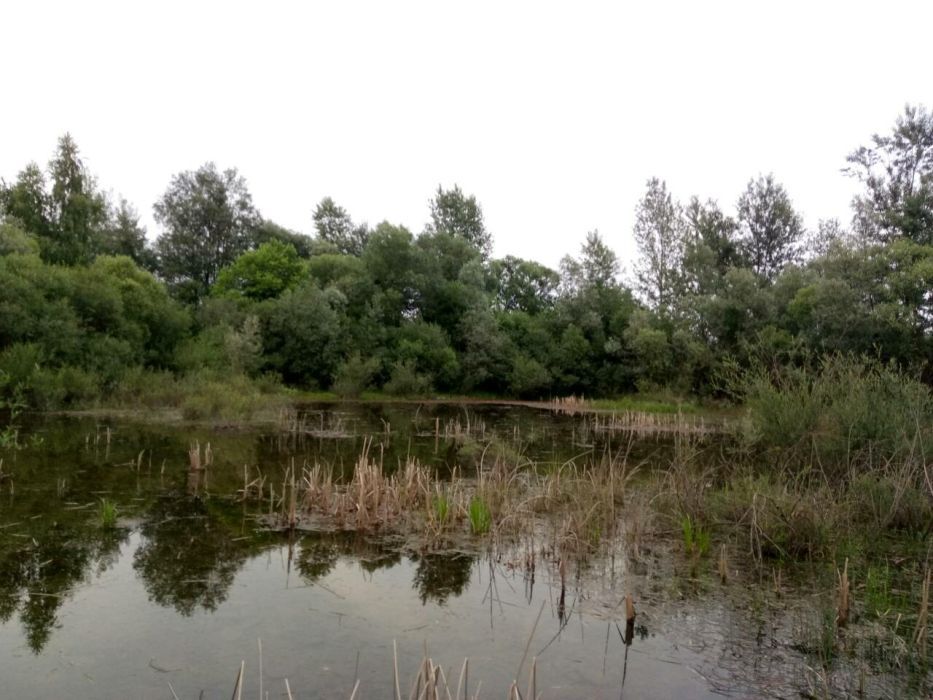 Участок 200 соток с жилым домом, хоз. постройками и озером!