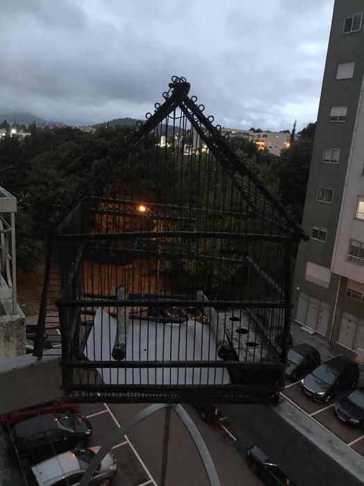 Gaiolas para passaros