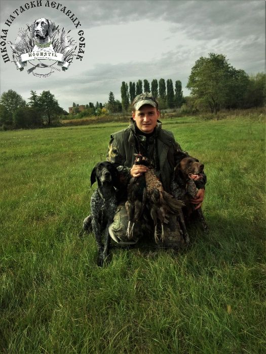 Дресирування мисливських собак/Дрессировка и натаска легавых собак