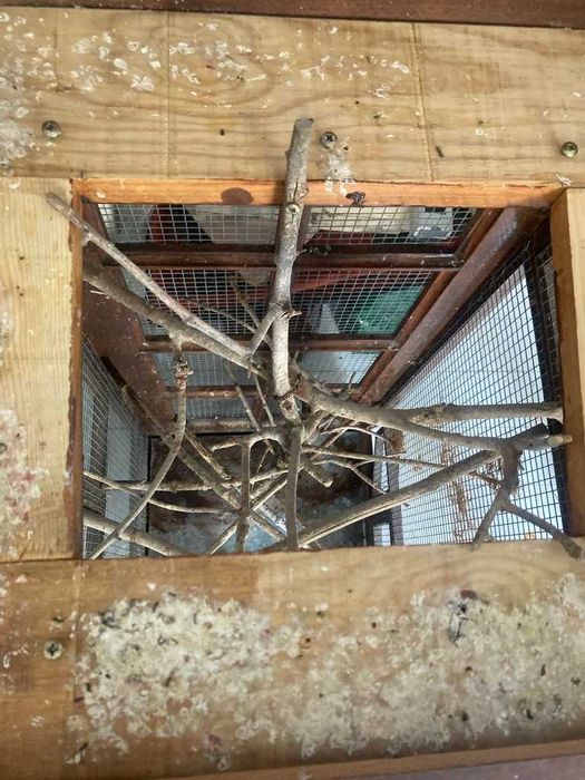 Gaiola pássaros feita á mão