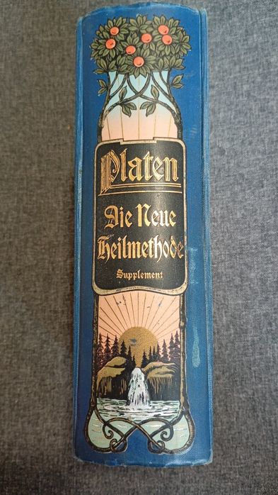 M.Platen Die Neue Heilmethode