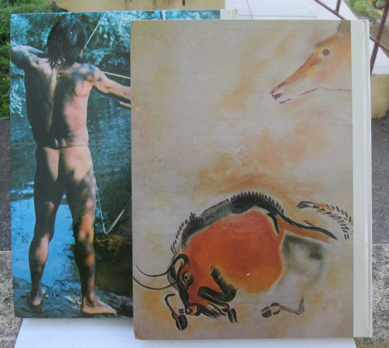 Grandes Enigmas do Homem, As Origens do Homem (2 volumes)