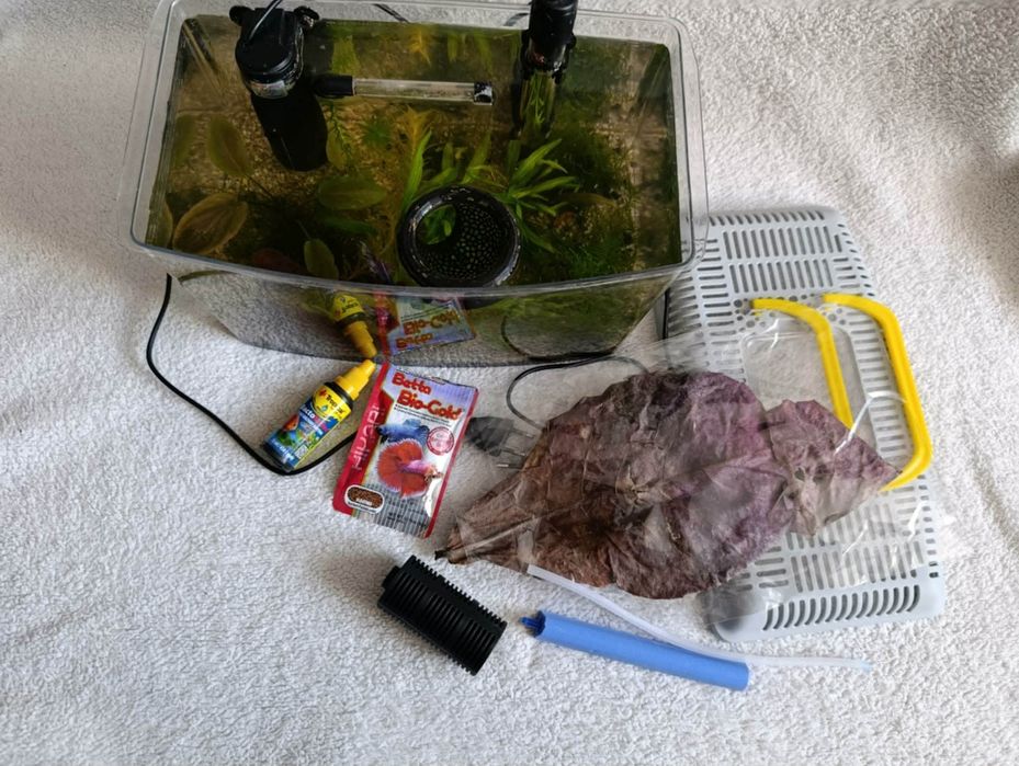 Akwarium z wyposażeniem