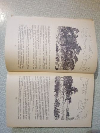 Майн Рид Всадник без головы
