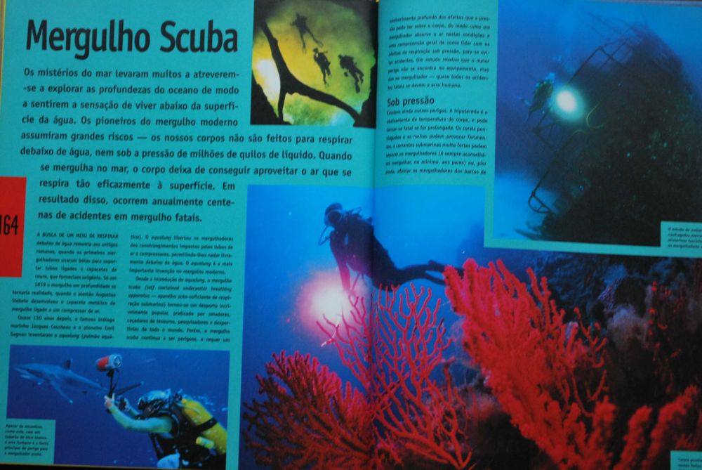 Desportos Radicais Guia Ilustrado das Grandes Curtições de Adrenalina