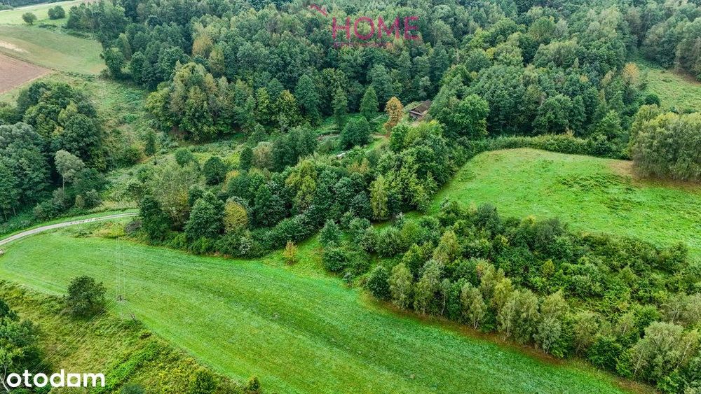 Nowy Borek 1,3675 ha- w trakcie Wz zagrodowa