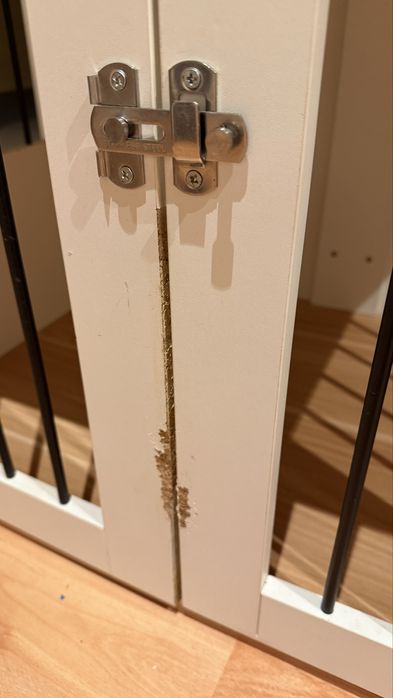 Gaiola para caes PawHut usada