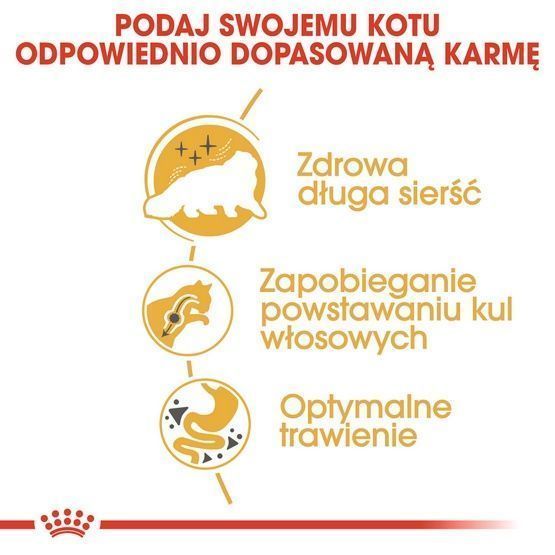 Karma sucha dla kotów perskich powyżej 12 miesiąca - Royal Canin 2kg