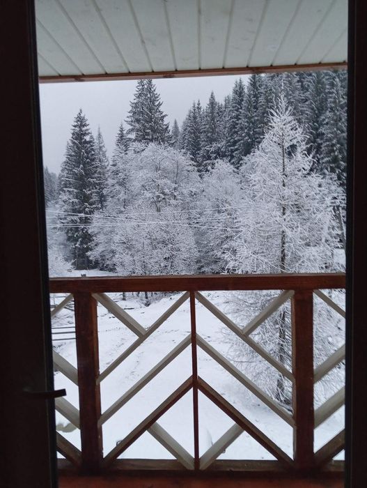 Відпочинок в Карпатах